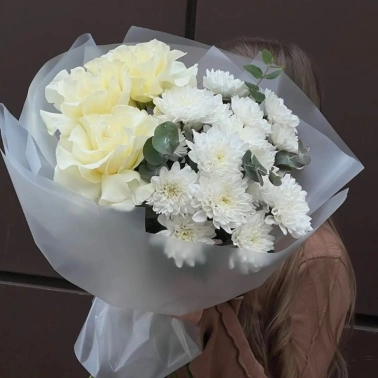Снежное сияние