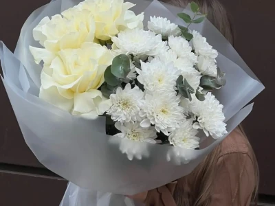 Снежное сияние