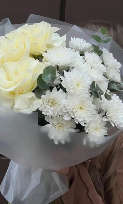 Снежное сияние